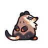 Popa