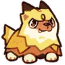 Zapooch